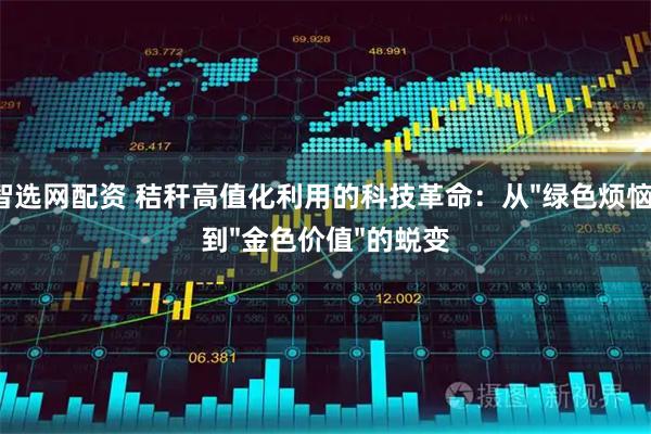 智选网配资 秸秆高值化利用的科技革命：从"绿色烦恼"到"金色价值"的蜕变