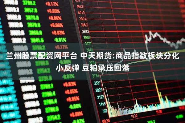 兰州股票配资网平台 中天期货:商品指数板块分化小反弹 豆粕承压回落
