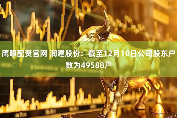 鹰眼配资官网 润建股份：截至12月10日公司股东户数为49588户