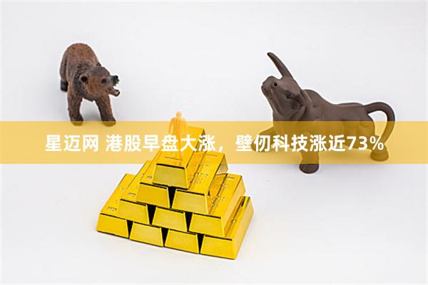 星迈网 港股早盘大涨，壁仞科技涨近73%
